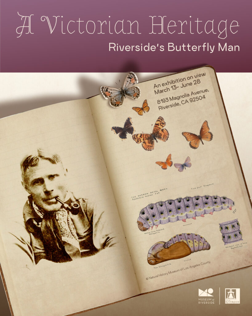 A Victorian Heritage